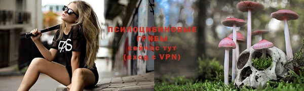 марки lsd Бутурлиновка