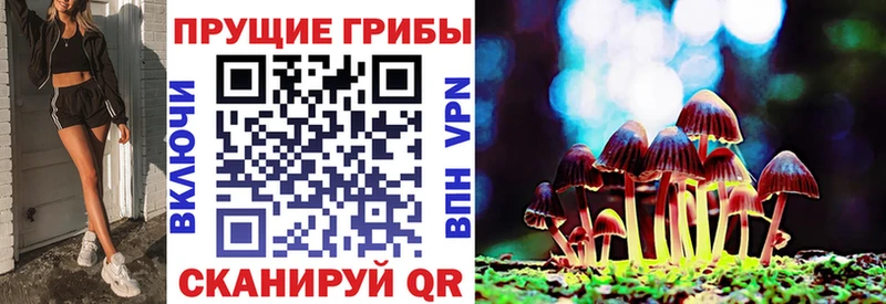 Галлюциногенные грибы GOLDEN TEACHER  Короча 